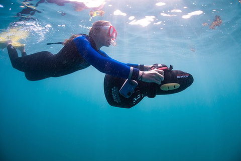 Full-Day Whale Sharks Swimming Experience On Ningaloo Reef - Tourism Caloundra 4