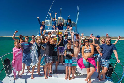 Full-Day Whale Sharks Swimming Experience On Ningaloo Reef - Tourism Caloundra 15