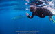 Full-Day Whale Sharks Swimming Experience On Ningaloo Reef - thumb 2