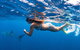 Full-Day Whale Sharks Swimming Experience On Ningaloo Reef - thumb 11