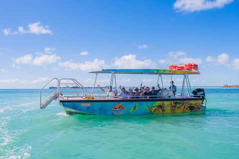 The Island Sandbar Experience - Tourism Caloundra 5