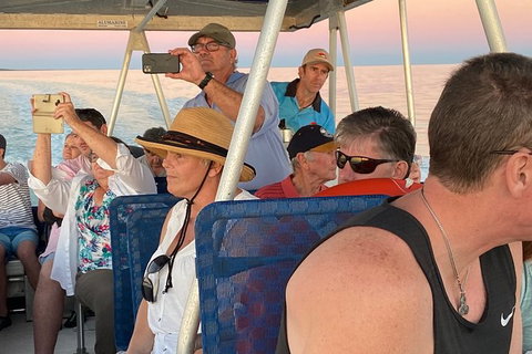 The Island Sandbar Experience - Tourism Caloundra 3