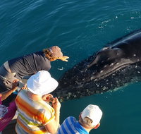 AOC Broome Whale Watching - Tourism Caloundra