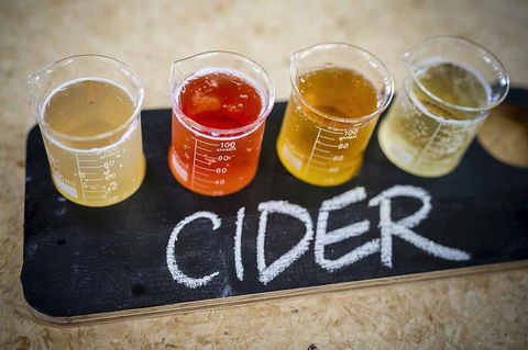 Bickley Valley Wine & Cider Tour - Premium Small Group Tour - Tourism Caloundra 1