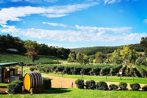 Bickley Valley Wine & Cider Tour - Premium Small Group Tour - Tourism Caloundra 0