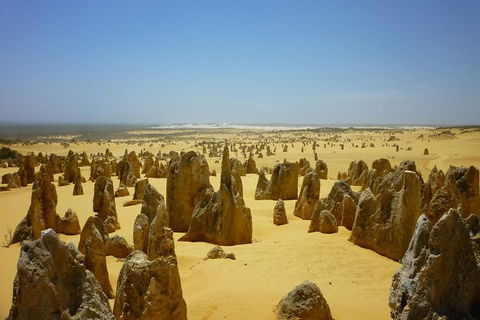Pinnacles Desert Private Tour - Tourism Caloundra 5