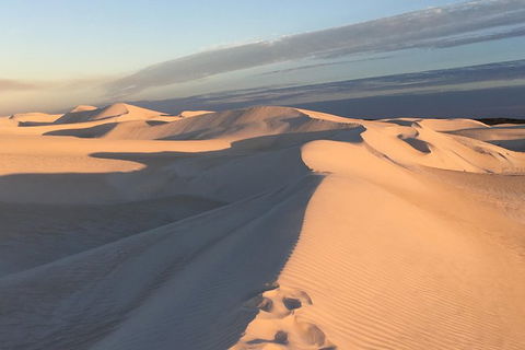 Pinnacles Desert Private Tour - Tourism Caloundra 2
