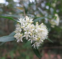 Booderee National Park - Tourism Caloundra