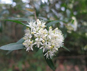 Booderee National Park - Tourism Caloundra 0