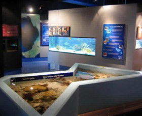Marine And Freshwater Discovery Centre - Tourism Caloundra 0