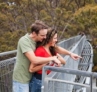 Valley of the Giants Tree Top Walk - Tourism Caloundra