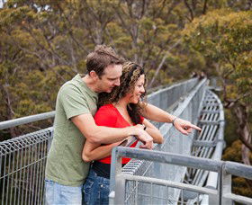 Valley Of The Giants Tree Top Walk - Tourism Caloundra 0