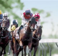 Colac Turf Club - Tourism Caloundra