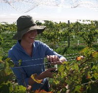 Kingsdale Wines - Tourism Caloundra