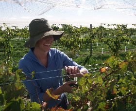 Kingsdale Wines - Tourism Caloundra 0