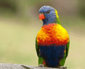 Booderee National Park - Tourism Caloundra 1