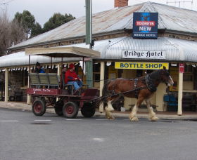 Ilarwill NSW Tourism Caloundra