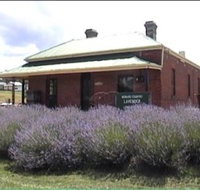 Lavender House in Railway Park - Tourism Caloundra