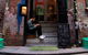 Twenty By Thirty Gallery - thumb 0