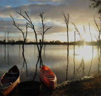 Boshack Outback - Tourism Caloundra