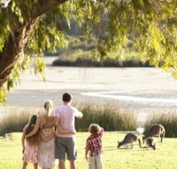 Yanchep National Park - Bushwalking Trails - Tourism Caloundra