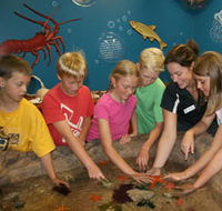 Naturaliste Marine Discovery Centre - Tourism Caloundra