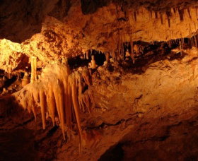 Yanchep National Park - Crystal Cave - Tourism Caloundra 0
