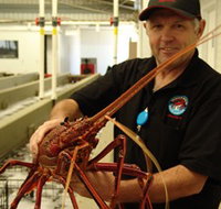 Lobster Shack - Tourism Caloundra