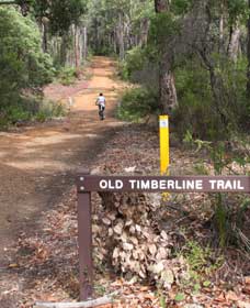 Jalbarragup WA Tourism Caloundra