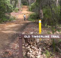 Old Timberline and Sidings Rail Trails - Tourism Caloundra