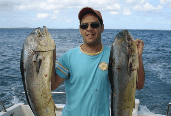 Jervis Bay Fishing and Charters - Tourism Caloundra