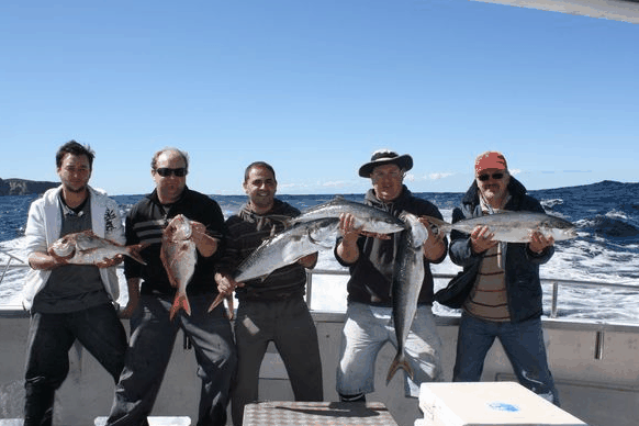 Jervis Bay Fishing And Charters - Tourism Caloundra 2