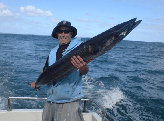 Jervis Bay Fishing And Charters - Tourism Caloundra 4