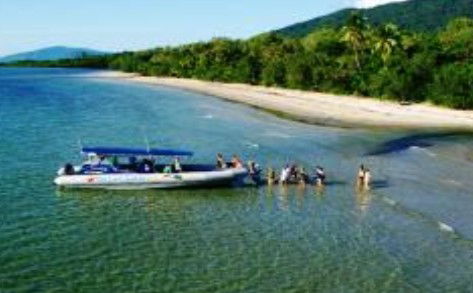 Cape Tribulation QLD Tourism Caloundra