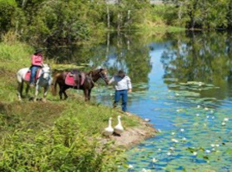 Blazing Saddles Adventures - Tourism Caloundra 2