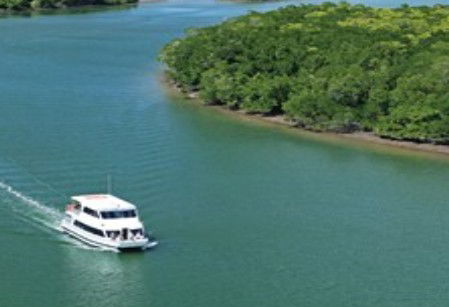 Cairns Harbour Cruises - Tourism Caloundra 3