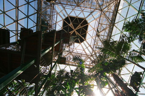 Cairns ZOOm And Wildlife Dome - Tourism Caloundra 1