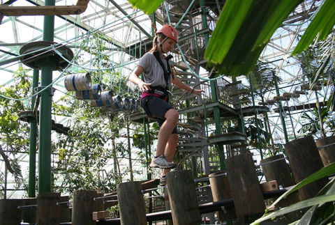 Cairns ZOOm And Wildlife Dome - Tourism Caloundra 2