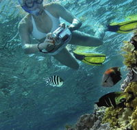 Calypso Reef Charters - Tourism Caloundra