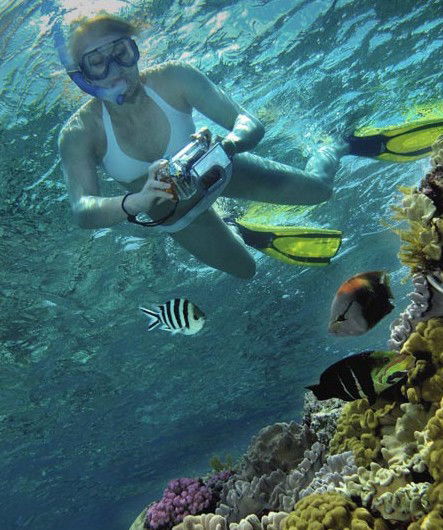 Calypso Reef Charters - Tourism Caloundra 0