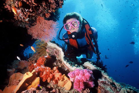 Calypso Reef Charters - Tourism Caloundra 2