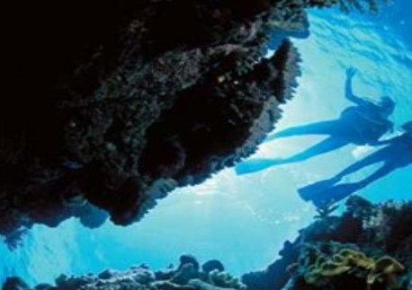Cairns QLD Tourism Caloundra
