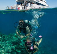 Down Under Cruise and Dive - Tourism Caloundra