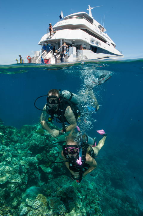 Down Under Cruise And Dive - Tourism Caloundra 0