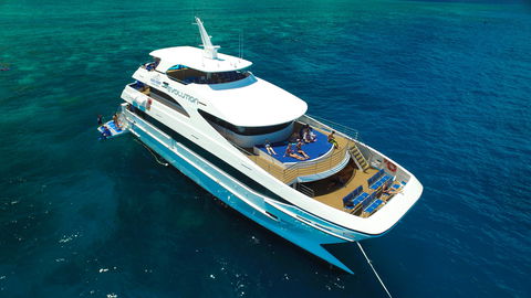 Down Under Cruise And Dive - Tourism Caloundra 2