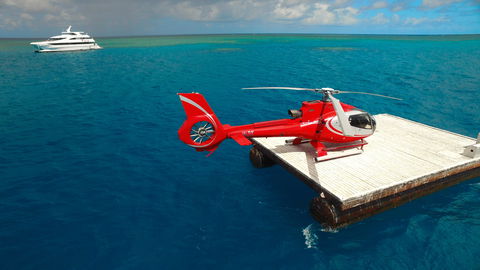 Down Under Cruise And Dive - Tourism Caloundra 3