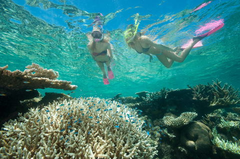 Down Under Cruise And Dive - Tourism Caloundra 4