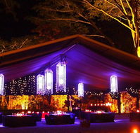 Flames Of The Forest - Tourism Caloundra