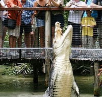 Hartley's Crocodile Adventures - Tourism Caloundra