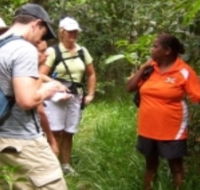 Ingan Tours - Spirit of the Rainforest Tour - Tourism Caloundra
